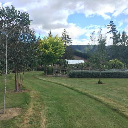Birch Hill Cottage -30 Minutes From St Arnaud Wairau Valley Extérieur photo