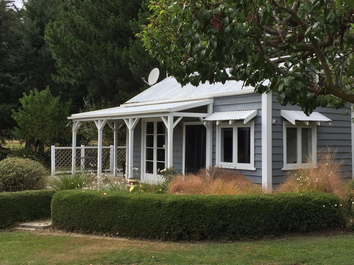 Birch Hill Cottage -30 Minutes From St Arnaud Wairau Valley Extérieur photo