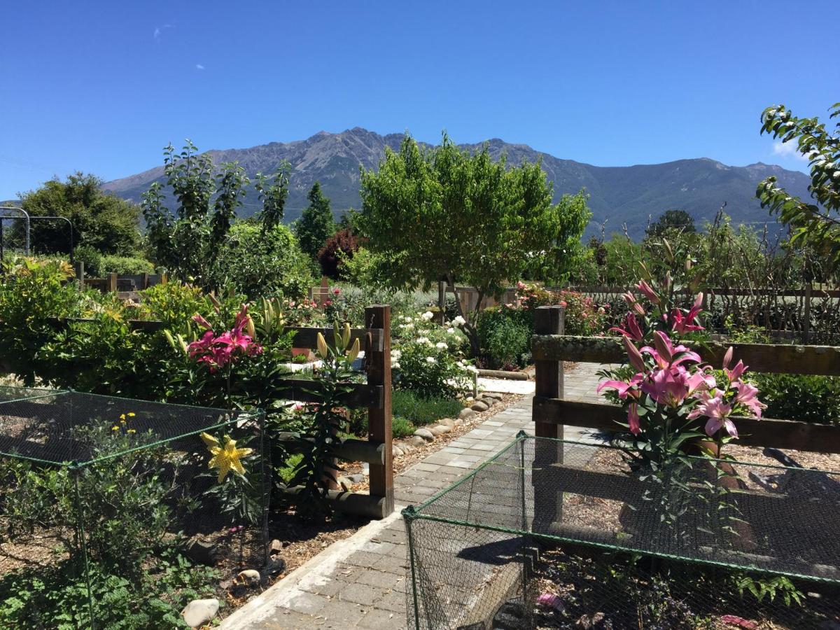 Birch Hill Cottage -30 Minutes From St Arnaud Wairau Valley Extérieur photo