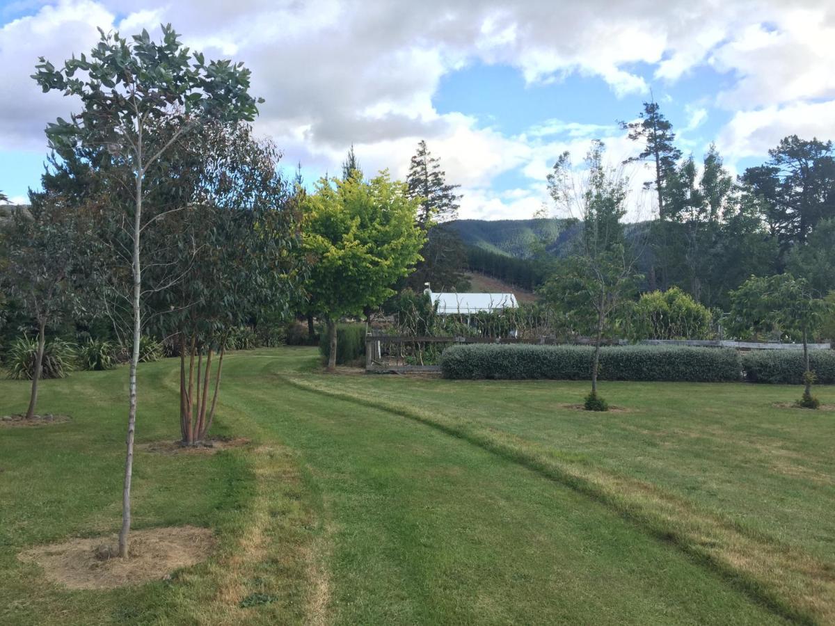 Birch Hill Cottage -30 Minutes From St Arnaud Wairau Valley Extérieur photo